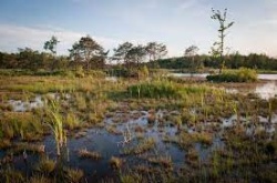 MA 01/05/23 Wandeling van het jaar 2022 in Meerhout: van landduinen tot moeras (11 km) 